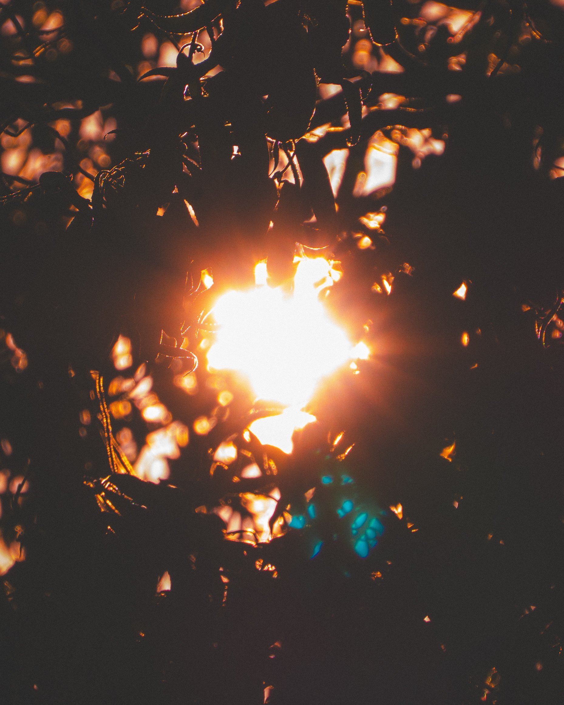 Across the Shore — frame 11