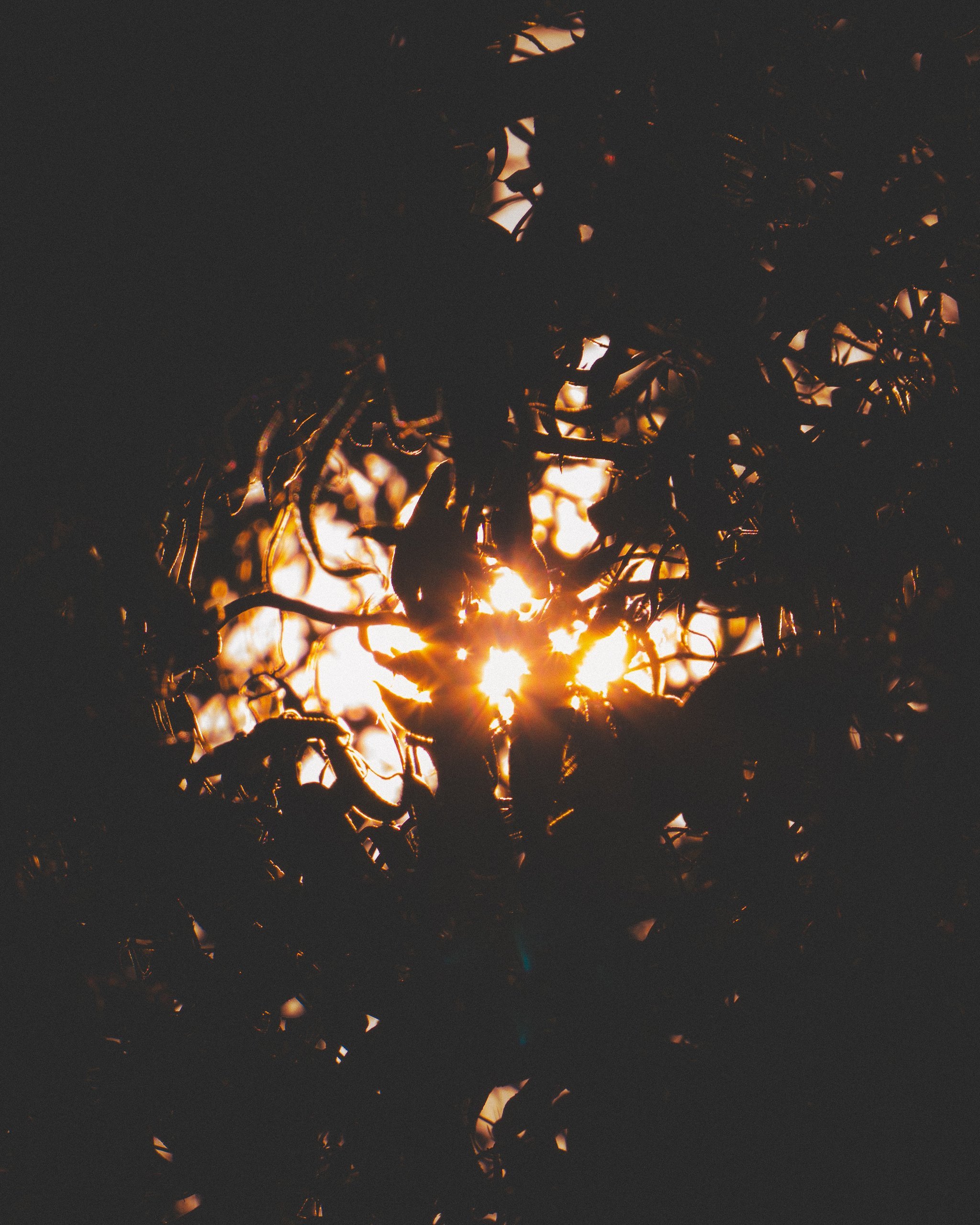 Across the Shore — frame 12