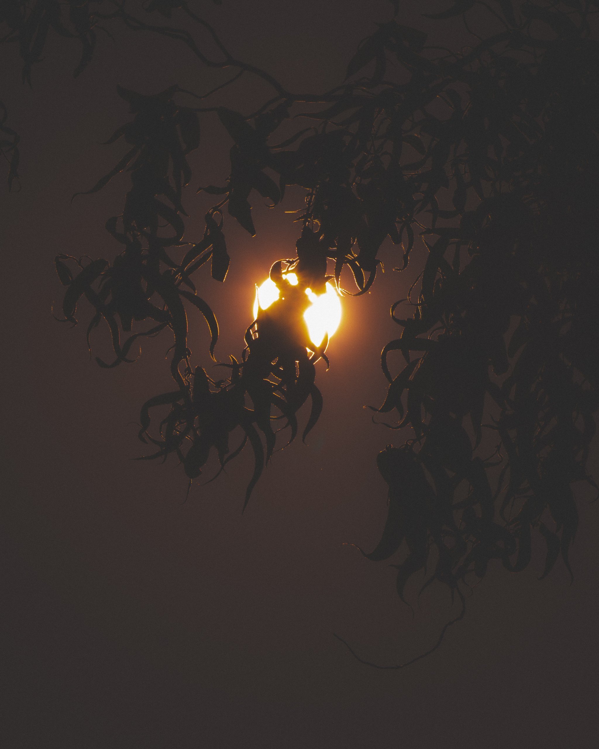 Across the Shore — frame 13