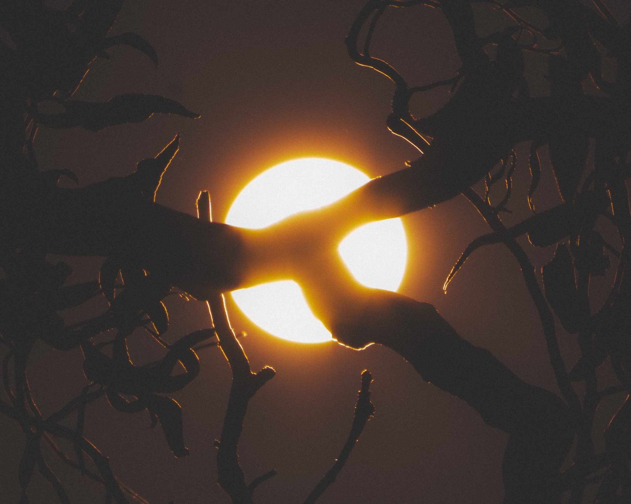 Across the Shore — frame 15