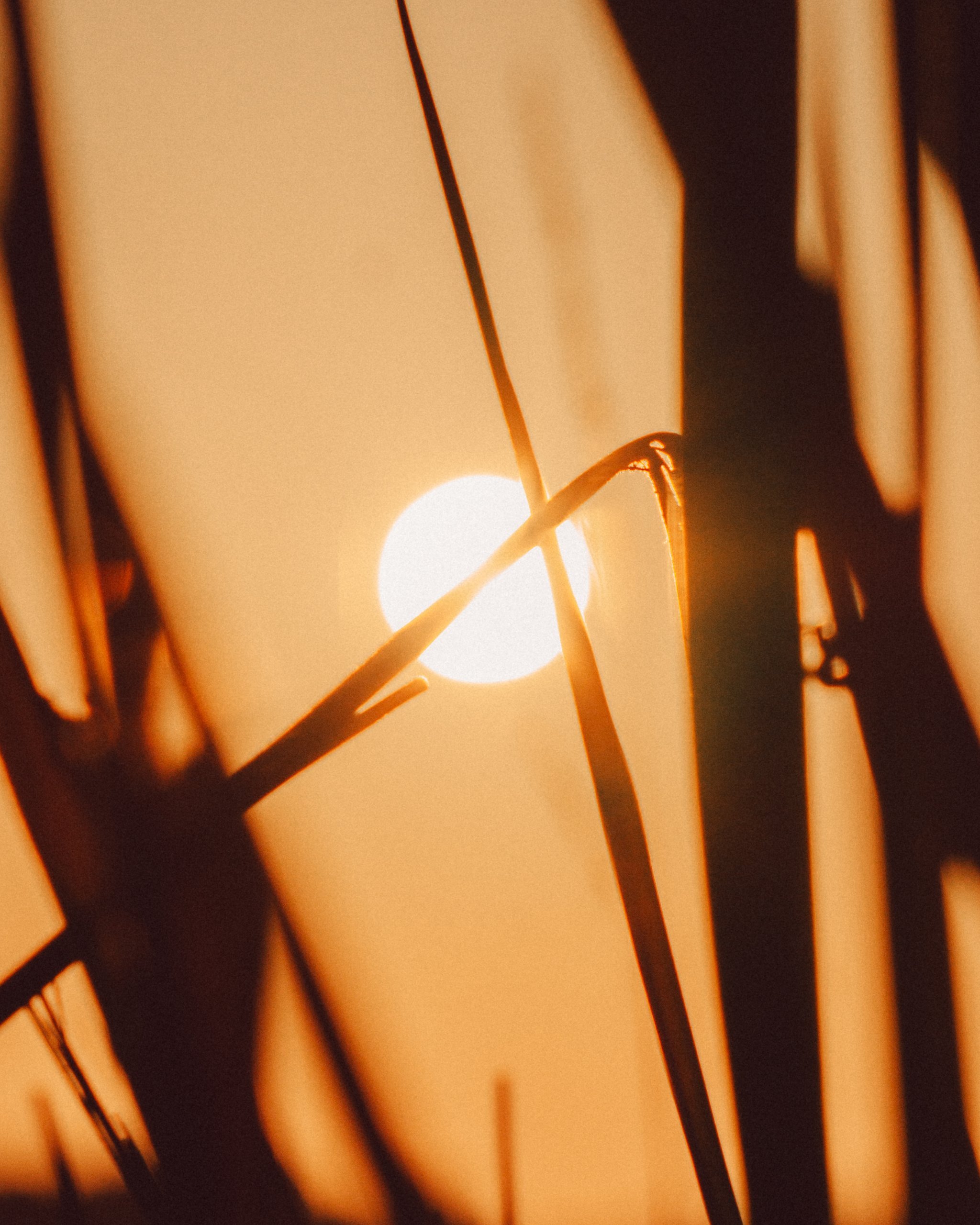 Across the Shore — frame 16
