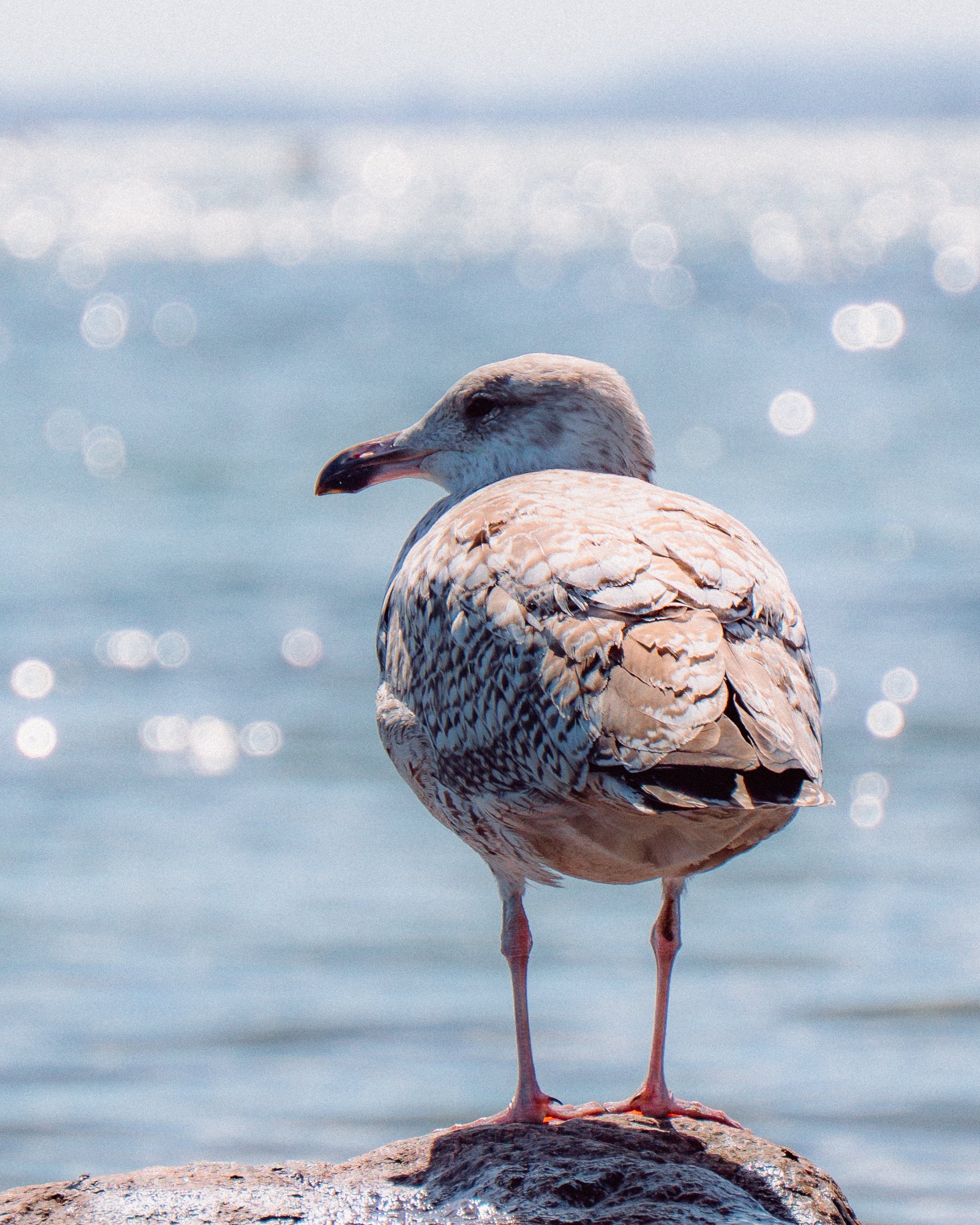 Across the Shore — frame 3