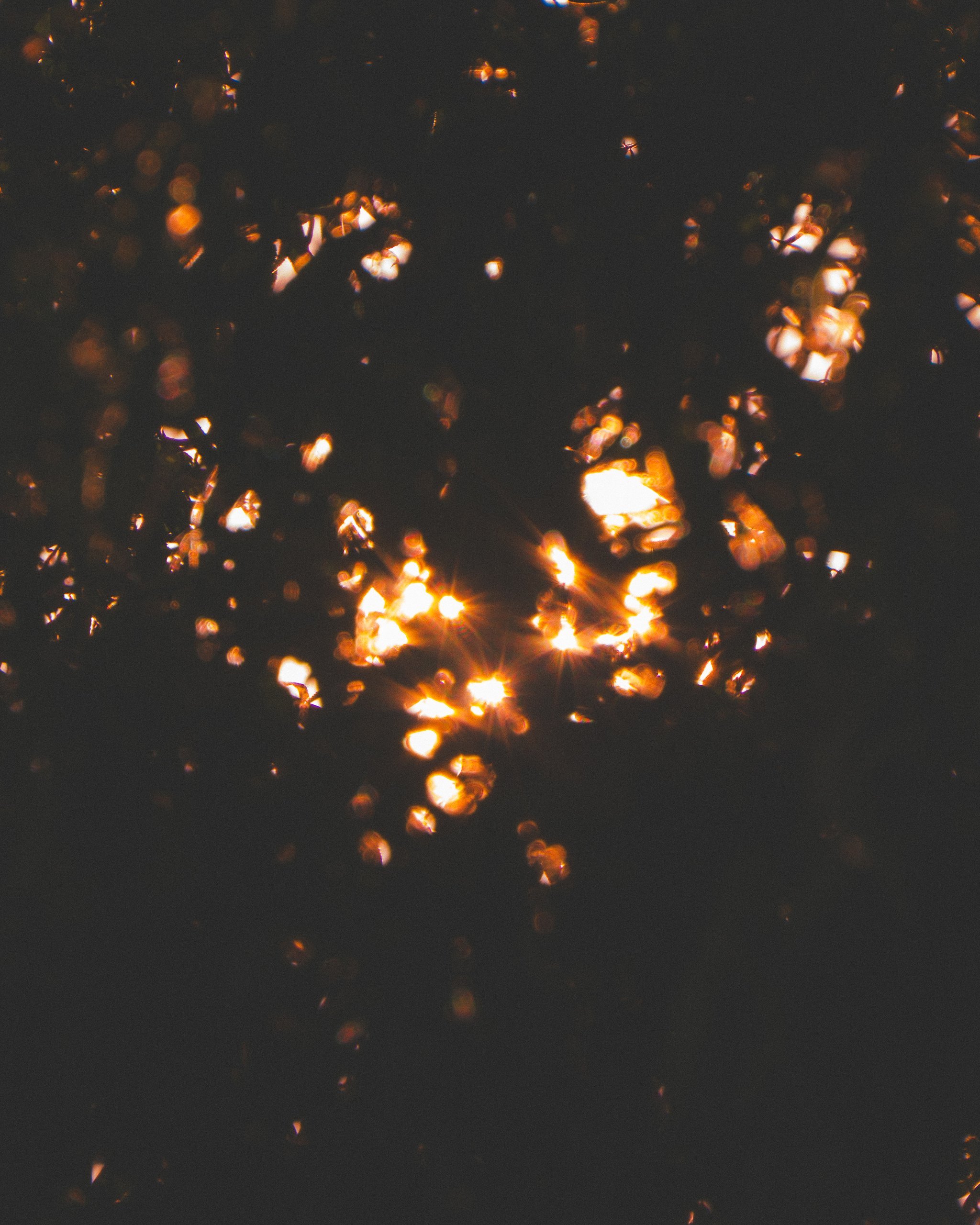 Across the Shore — frame 7