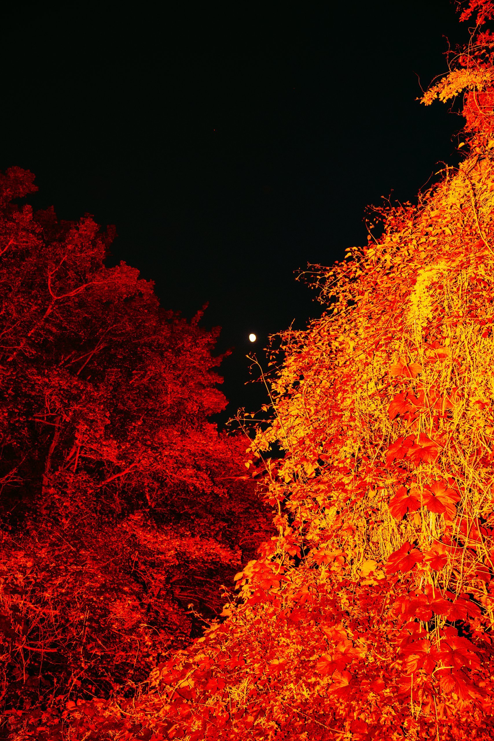 Insomnia — frame 3