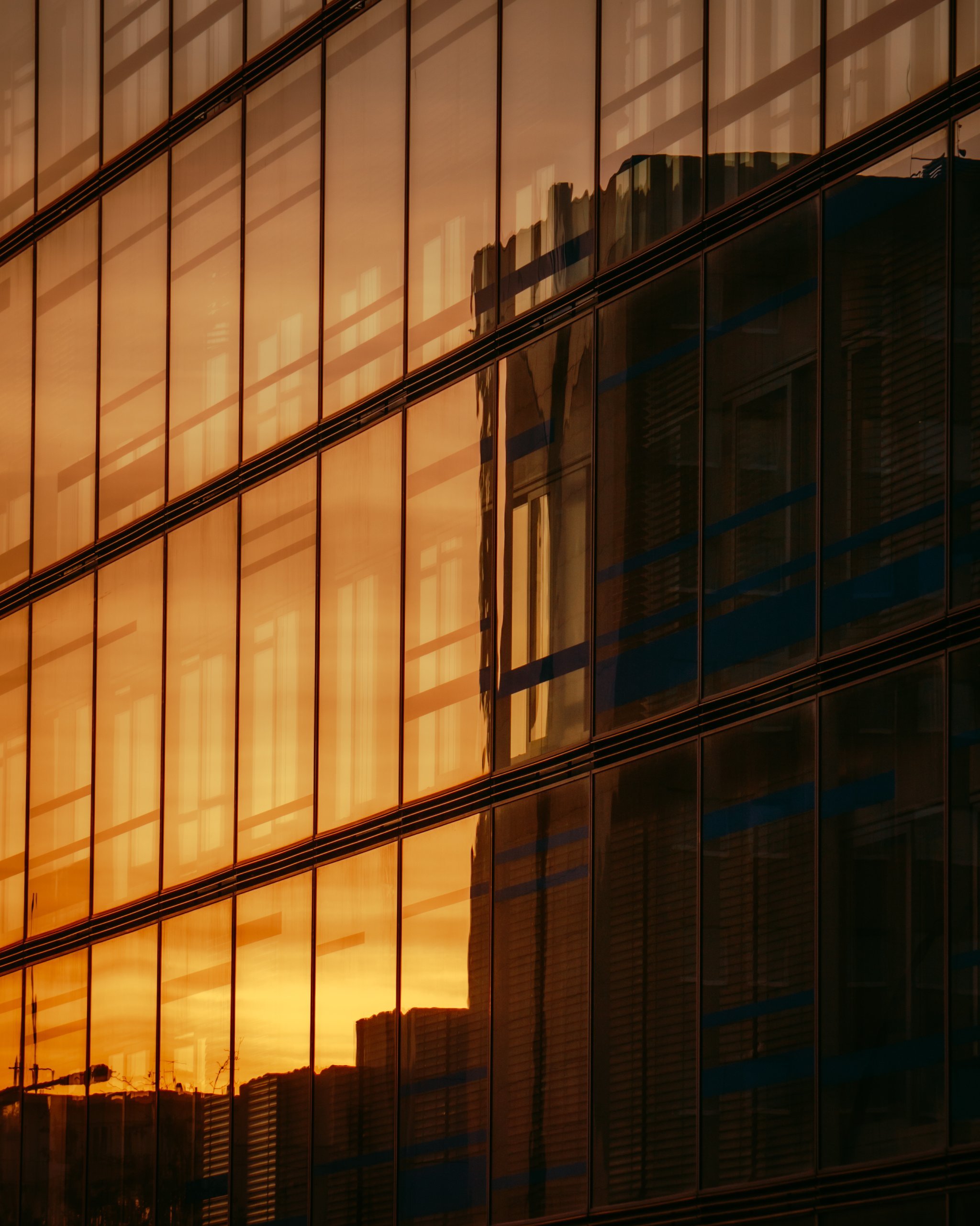 long time no see — frame 6