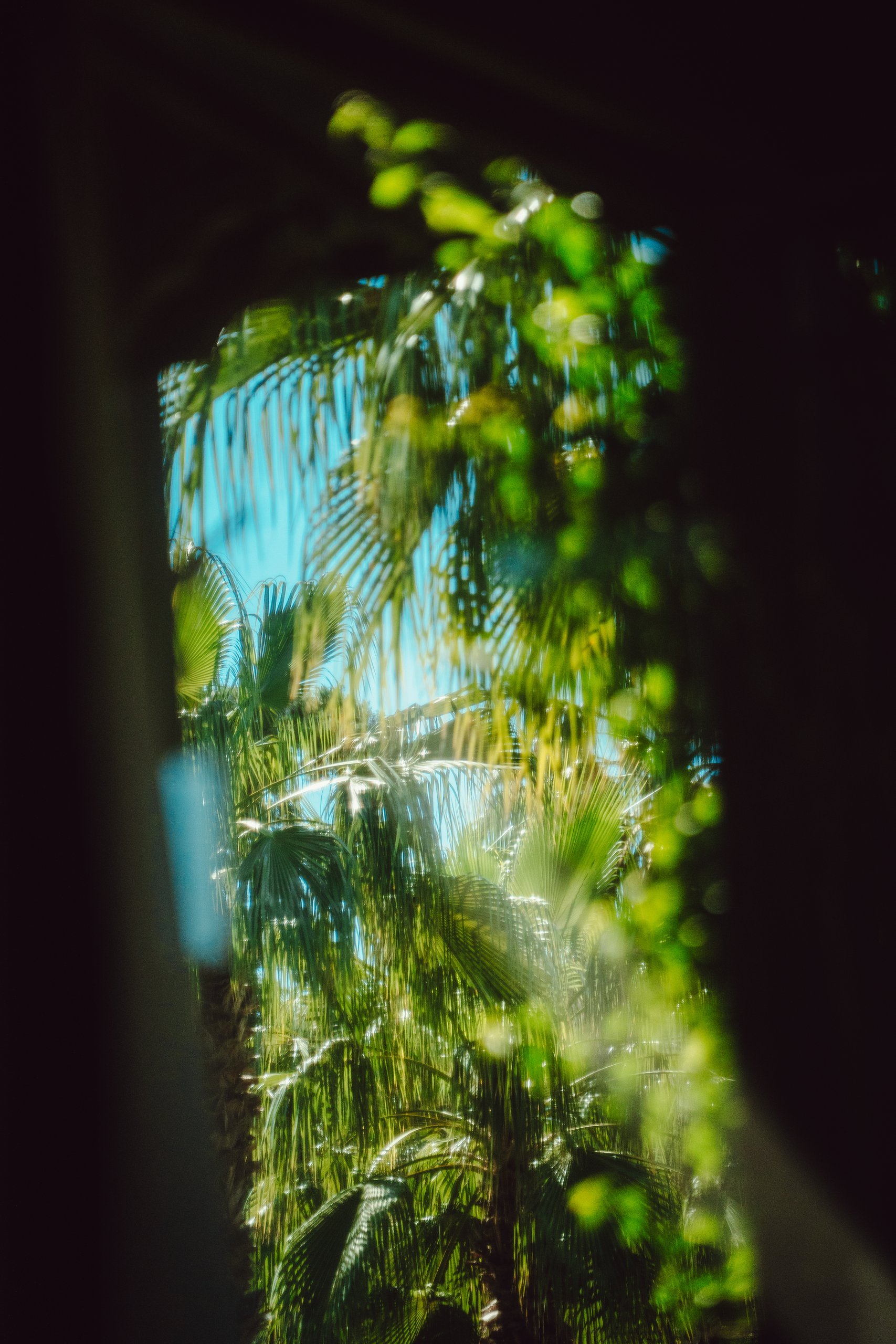 Scenes From Turkey — frame 8