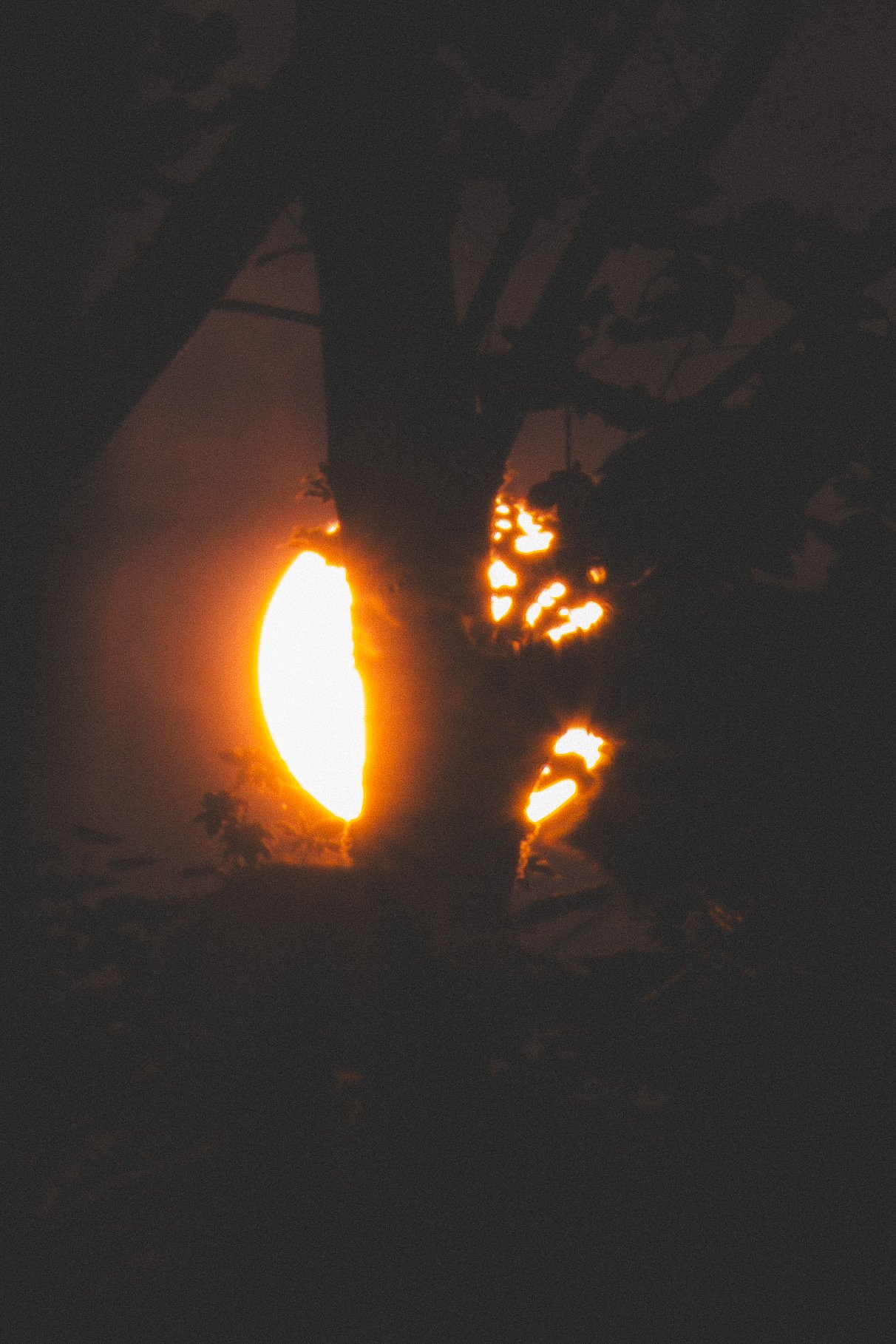 Selected work 37 by Nick Schildknecht