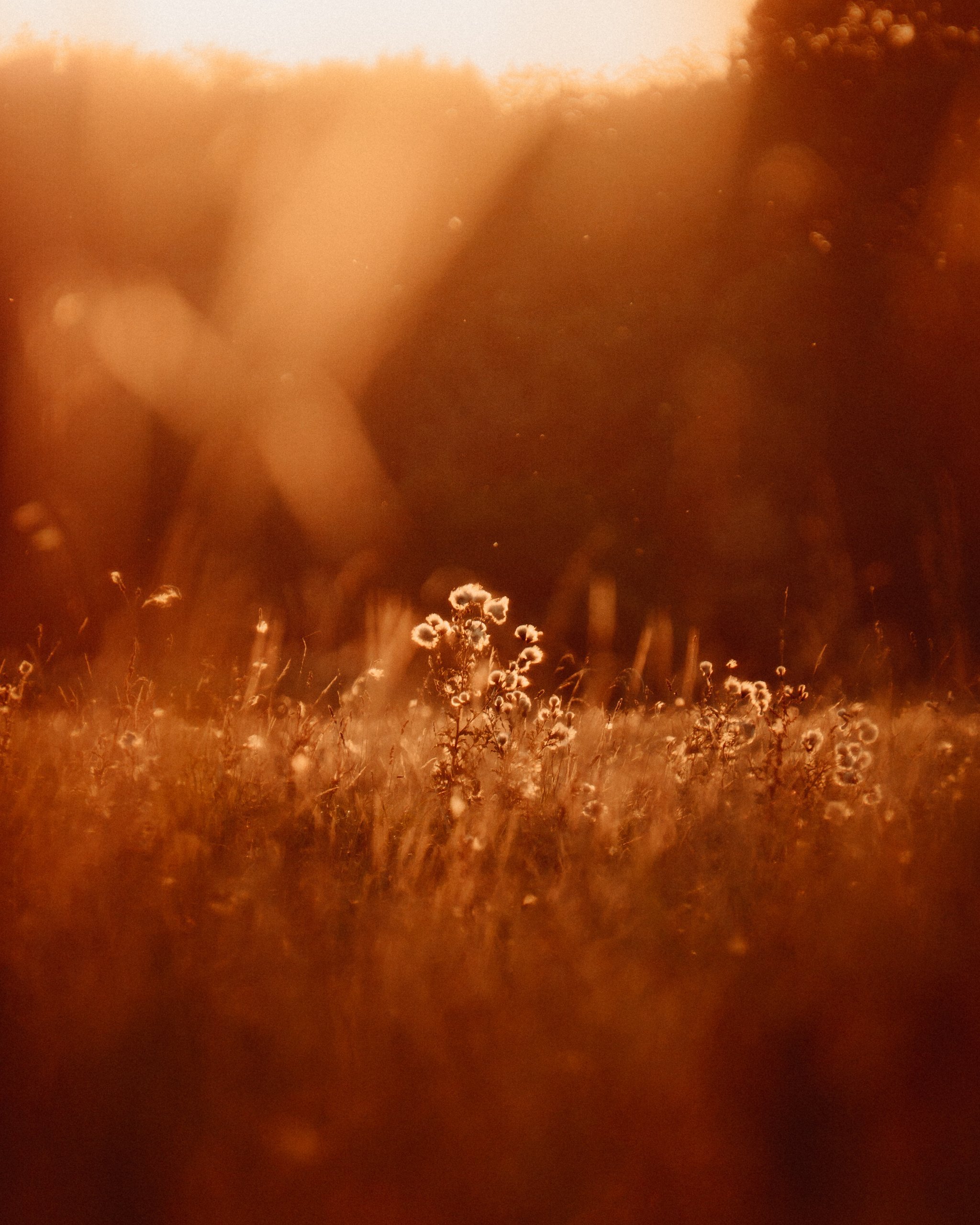 Selected work 16 by Nick Schildknecht
