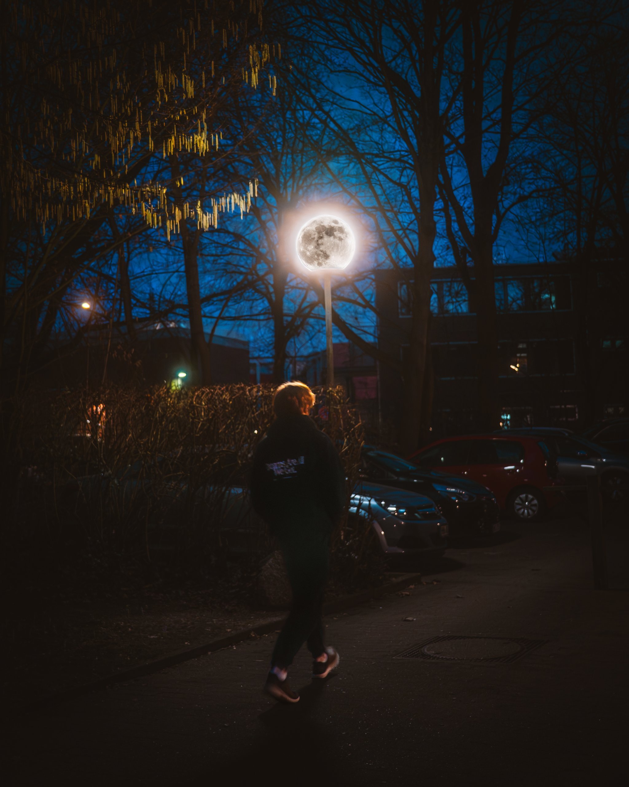 Selected work 29 by Nick Schildknecht